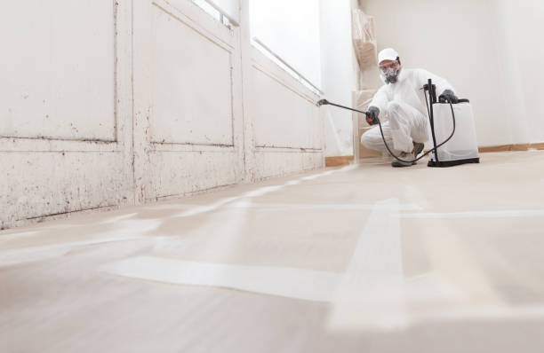 24/7 Emergency Mold Remediation experts in Tappahannock, VA