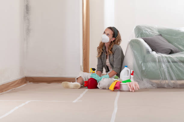 Reliable Mold Remediation contractor in Tappahannock, VA by 24 Hour Mold Removal